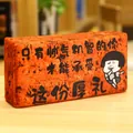 Funny realistic red brick plush toy with meme character print for gag gift - Gift For Handsome Only