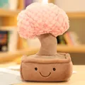 Creative pink plush succulent bonsai decorative toy with cute smiley face pot design - Money Tree Ornament (30cm) / Pink
