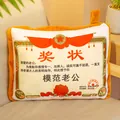 Creative certificate of merit themed 2-in-1 pillow quilt for office use - Model Husband / Small Pillow (35x30cm)
