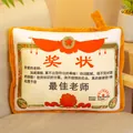 Plush teacher award certificate design rectangular cushion for sofa and office decor - Best Teacher / Small Pillow (35x30cm)
