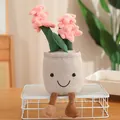 Adorable plush hyacinth succulent ornament with a cute smiley face and dangling legs - Hyacinth Ornament (35cm) / Pink