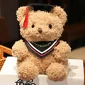 Weicher Abschluss-Teddybär mit Doktorhut und Congratulations-Kragen, das ideale Geschenk. - 23cm / Dreieckstuch - Rot