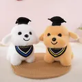 Detailed view of white and brown plush dog toys wearing graduation caps and scarves - Dog / 23cm Size / Doctor Dog