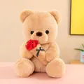 Detailed close-up of a soft beige teddy bear plush toy holding a vibrant red rose decoration - Holding Rose (Brown) / S