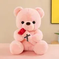Detailed view of a soft pink plush teddy bear holding a beautiful red rose gift - Holding Rose (Pink) / S