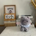 Detailed view of a soft grey plush cat toy with a delicate blue lace collar bib - 22cm / Gray