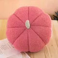 Soft pink plush pumpkin decorative pillow made of cozy sherpa fleece fabric - 15cm / Lotus Pink