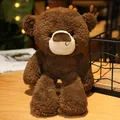 Adorable brown long-legged teddy bear plush toy, perfect for children's birthday gifts - Dark Brown Bear / 30cm