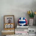 Cojín decorativo de peluche de voleibol sobre una pila de libros en el hogar - 20cm / Voleibol Azul Rojo Blanco