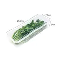 Transparent rectangular plastic cilantro storage box with 25.8x7.8x5cm dimensions - S / Clear