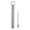 Portable silver stainless steel toothpick holder with reusable metal toothpick keychain - Silver Stainless Steel Toothpick Holder