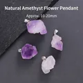 Natural irregular amethyst raw stone pendant in various purple shades, size 10-20mm - Small Pendant / Purple (Natural Amethyst)