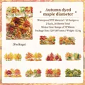 Adesivi decorativi in PET impermeabili a tema foresta autunnale per scrapbooking, 20 pezzi - Confezione da 20 / Sentiero degli Aceri Autunnale