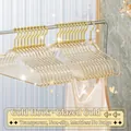 Luxury gold hook transparent acrylic clothes hangers with shimmering gold glitter - Gold Hook Transparent Gold Glitter Style / Quicksand Gold (Gold Hook)