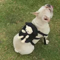 Black pet backpack with plush bear for small dogs and cats - Pet Self Backpack / Black Bear