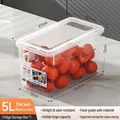 5L Large transparent refrigerator storage box with lid and handle for food preservation - Transparent With Handle / Small Thickened (5L)