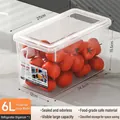Large 6L transparent food-grade refrigerator storage box with handle - Transparent With Handle / Large Extra Thick (6L)