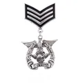 Vintage Metallbrosche im Militärstil mit Adler-Motiv und CATEN-Schriftzug im Detail - Militärischer Abzeichen-Stil (CATEN) / Antiksilber Pfeil