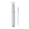 Portable waterproof aluminum toothpick case set with keychain and metal fruit pick - Silver (1 Pack)