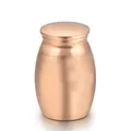 Small rose gold stainless steel pet cremation urn for ashes, keepsake memorial jar - Rose Gold (25*16mm) / Rose Gold