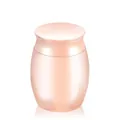 Elegant rose gold stainless steel pet cremation urn with waterproof seal and paw print - 30x40mm / Rose Gold