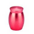 Small red metal pet cremation urn with secure lid 30x40mm - 30x40mm / Red