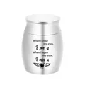 Small silver keepsake urn for ashes featuring sentimental heart and wings design - 30x40mm / Silver