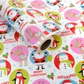 Rotolo di carta regalo di Natale con simpatici disegni di Babbo Natale e renne. - Serie Natalizia - Paradiso dei Bambini / 0,43*3 metri