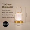 Modern portable gold LED lantern desk lamp with textured acrylic shade and touch control - Style B (BZTD-080) / Single Light