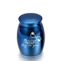 Small blue metallic cremation urn for ashes featuring heart and paw memorial engraving - Sapphire Blue