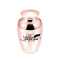 Roségoldene Urne für Haustierasche mit graviertem Text 'I will never forget you' - Feder-Gedenkstil / Roségold