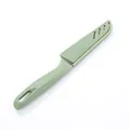 Compact stainless steel paring knife featuring a light green protective sheath and handle - Nordic Green