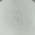 Macro detail of white circular lace doily featuring intricate floral embroidery patterns - 27x27cm / White