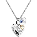Collar de urna de corazón de acero inoxidable con dije de Uncle y piedra de nacimiento - Estilo Dije Corazón Dorado Uncle / 1 Pieza / Estilo Plateado