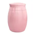 Small pink ceramic cremation urn for pet or human ashes, sealed memorial funeral jar - Pink (Blank)