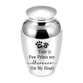 Macro view of polished silver pet cremation urn with paw print engraving - Style 2 (Paw Print) / 70x45mm / Silver