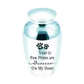 Small silver stainless steel pet cremation urn with engraved paw prints memorial - Style 2 (Paw Print) / 70x45mm / Light Blue