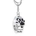 Stainless steel pet cremation urn keychain with heart message and paw print charm - No Longer Text Style (9563) / Silver