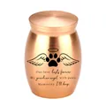 Rose gold pet cremation urn with angel wings paw print and memorial message. - 30x40mm / Rose Gold