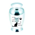 Detail of metallic pet cremation urn showing engraved cat silhouette and memorial quote - 70x45mm / Sky Blue