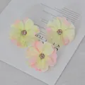 Decorative pink and yellow gradient small daisy artificial flower heads for DIY handmade crafts - Apply Powder
