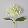 Realistischer weißer künstlicher Hortensienstiel für Heimdeko und Hochzeitsfeiern. - 2-Blatt-Stil / Weiß