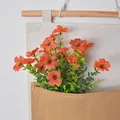 Leuchtend oranger künstlicher Eukalyptus-Violett-Strauß mit schwarz gemusterten Blütenblättern - 7 Gabeln / Orange