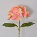 Künstliche Hortensie in Rosa und Orange für elegante Heim- und Hochzeitsdekorationen - 2-Blatt-Stil / Orange