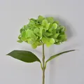 Realistischer limettengrüner künstlicher Hortensienstiel für Heimdeko und Hochzeiten. - 2-Blatt-Stil / Grün