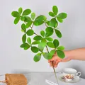 Realistic synthetic green Pieris japonica leaf branch for indoor home decoration - Mangrove Green