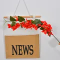 Single branch of vibrant red artificial bougainvillea for home and wedding floral decor - 24 Flower Heads / Red