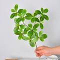 Realistic artificial Pieris japonica green leaf branch for indoor home decoration - Mangrove Spotted Green