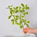 Handheld artificial plant branch with green and white variegated leaves for home decor - Mangrove White Edge