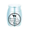 Urna de cremación para mascotas de aleación de aluminio azul claro con cita conmemorativa - 40x30mm / Azul cielo